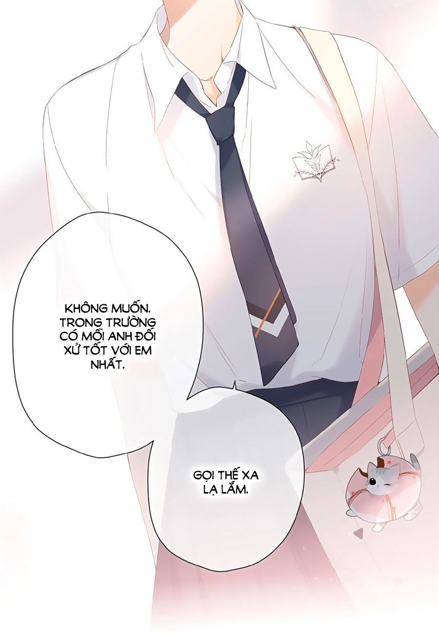 Lại Gặp Được Em Chap 85 - Next Chap 86