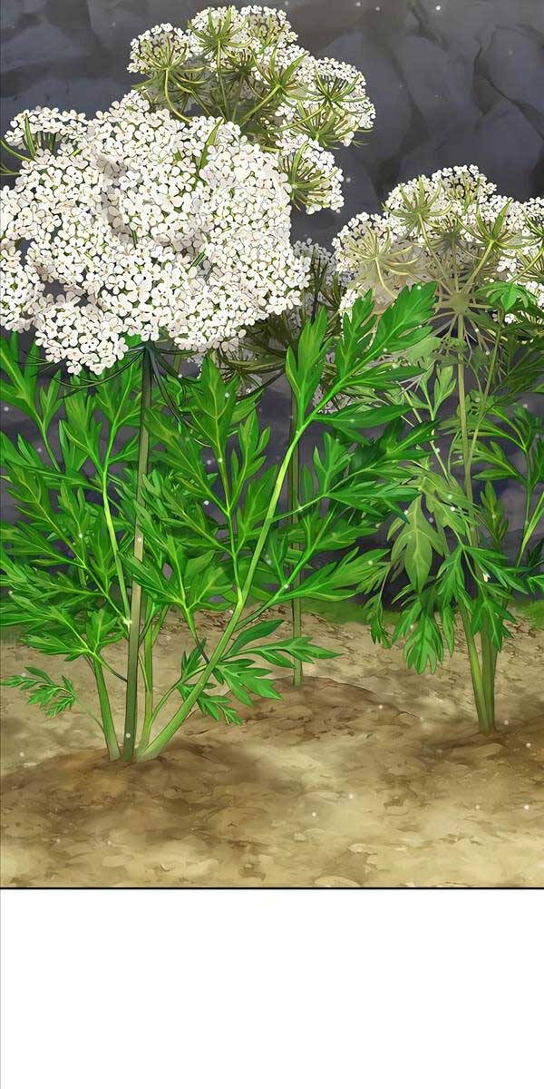 Làm Nông Dân Trong Tòa Tháp Thử Thách Chap 22 - Next Chap 23