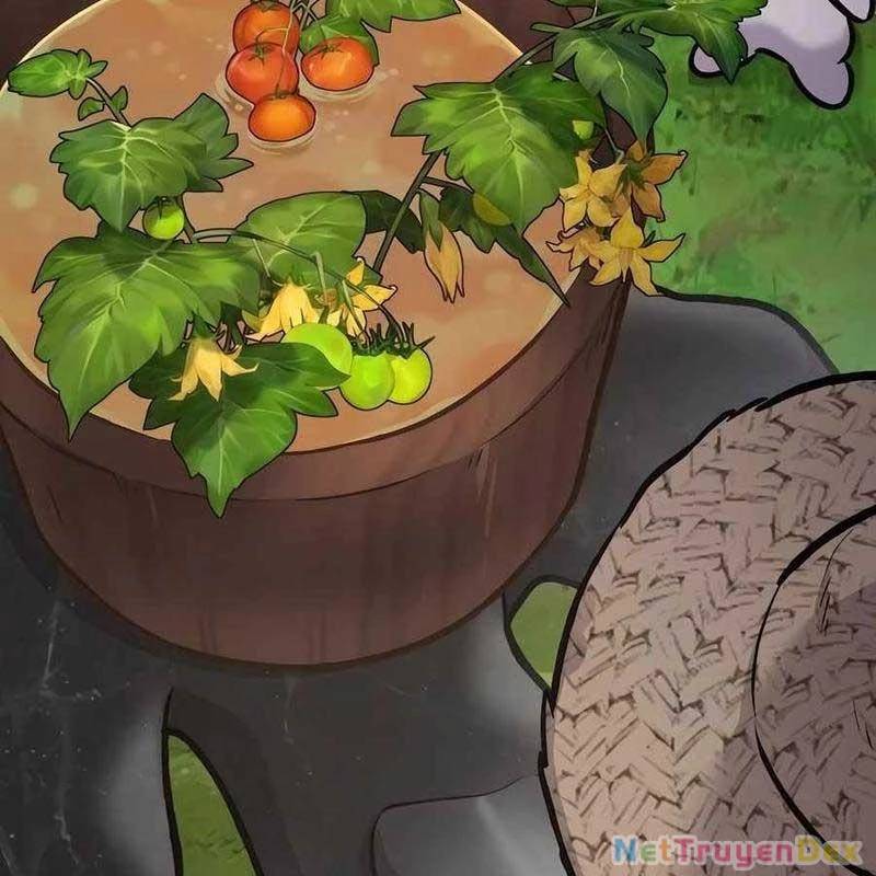 Làm Nông Dân Trong Tòa Tháp Thử Thách Chap 92 - Next Chap 93