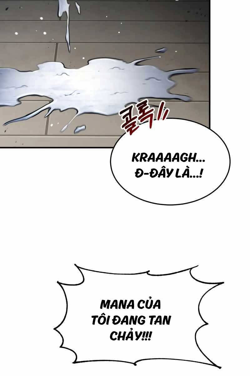 Làm Sao Sống Như Một Trị Liệu Sư Ngầm Chap 27 - Next Chap 28