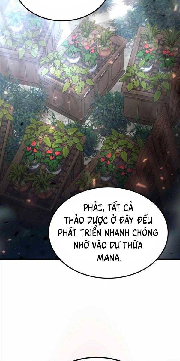 Làm Sao Sống Như Một Trị Liệu Sư Ngầm Chap 28 - Next Chap 29