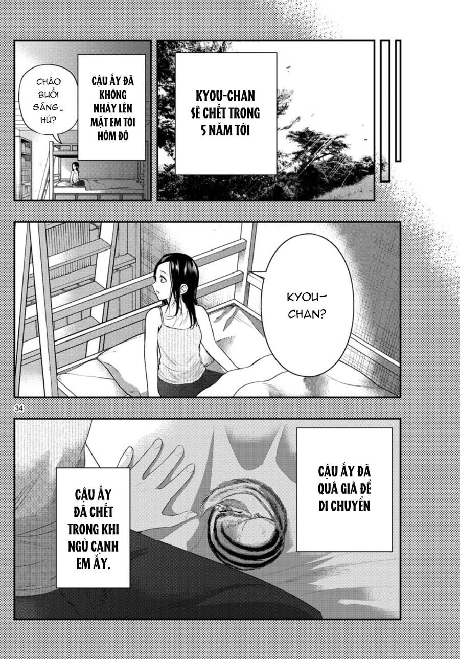 Last Karte Chap 35 - Next Chap 36