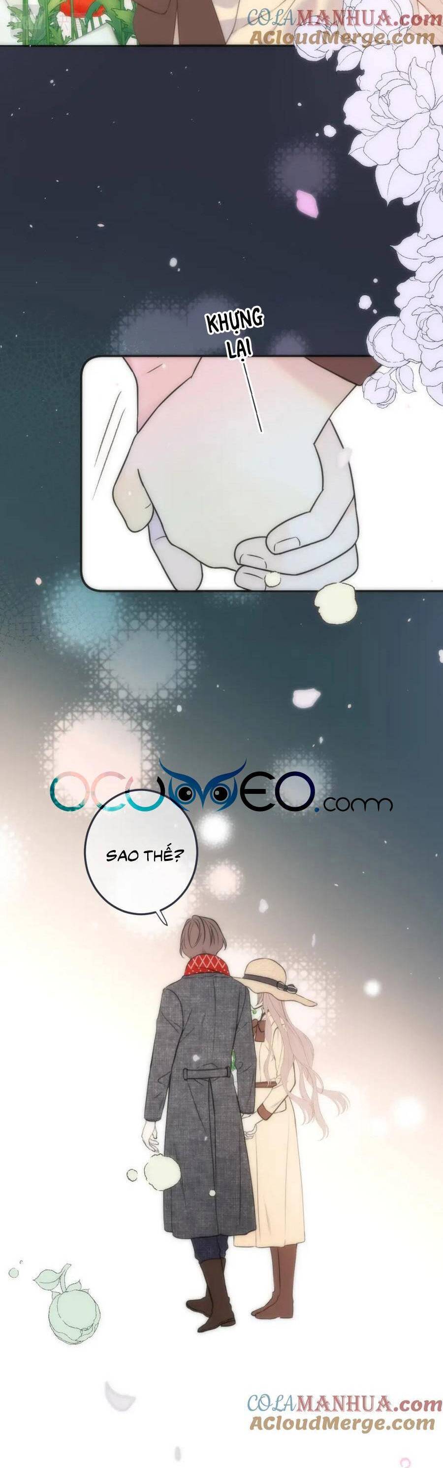Lâu Tiểu Thư, Lại Gặp Nhau Rồi Chap 117 - Next Chap 118