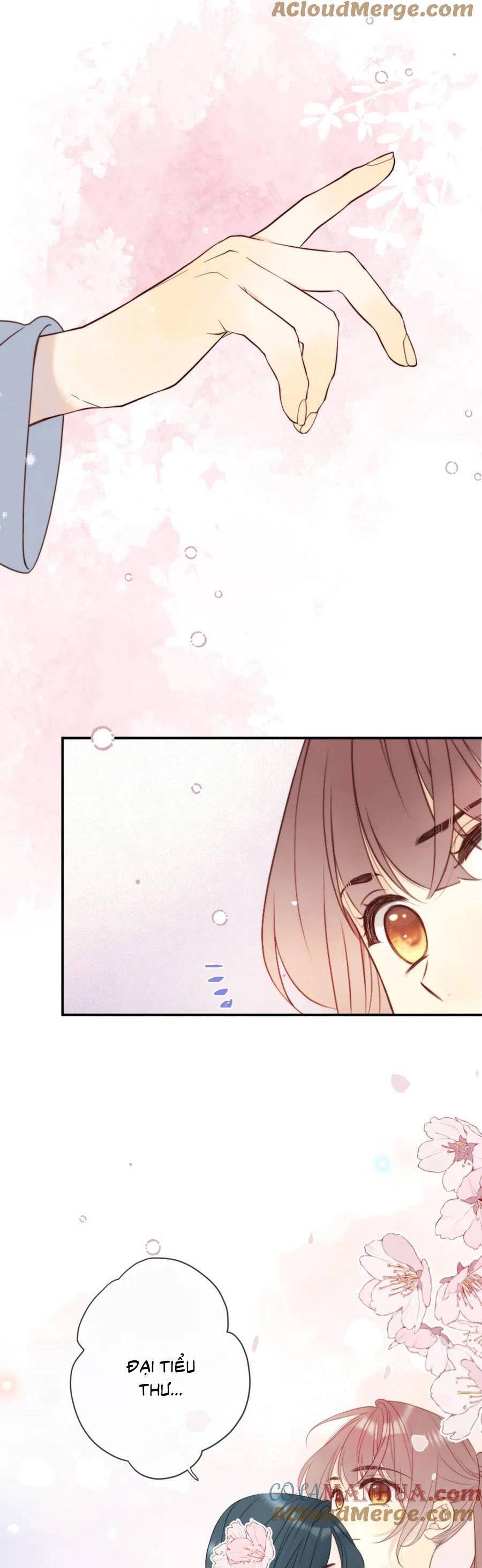 Lâu Tiểu Thư, Lại Gặp Nhau Rồi Chap 117 - Next Chap 118
