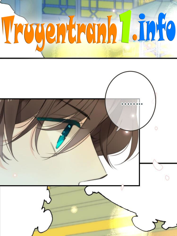 Lâu Tiểu Thư, Lại Gặp Nhau Rồi Chap 9 - Next Chap 10