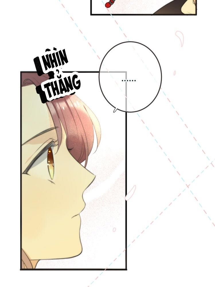 Lâu Tiểu Thư, Lại Gặp Nhau Rồi Chap 9 - Next Chap 10