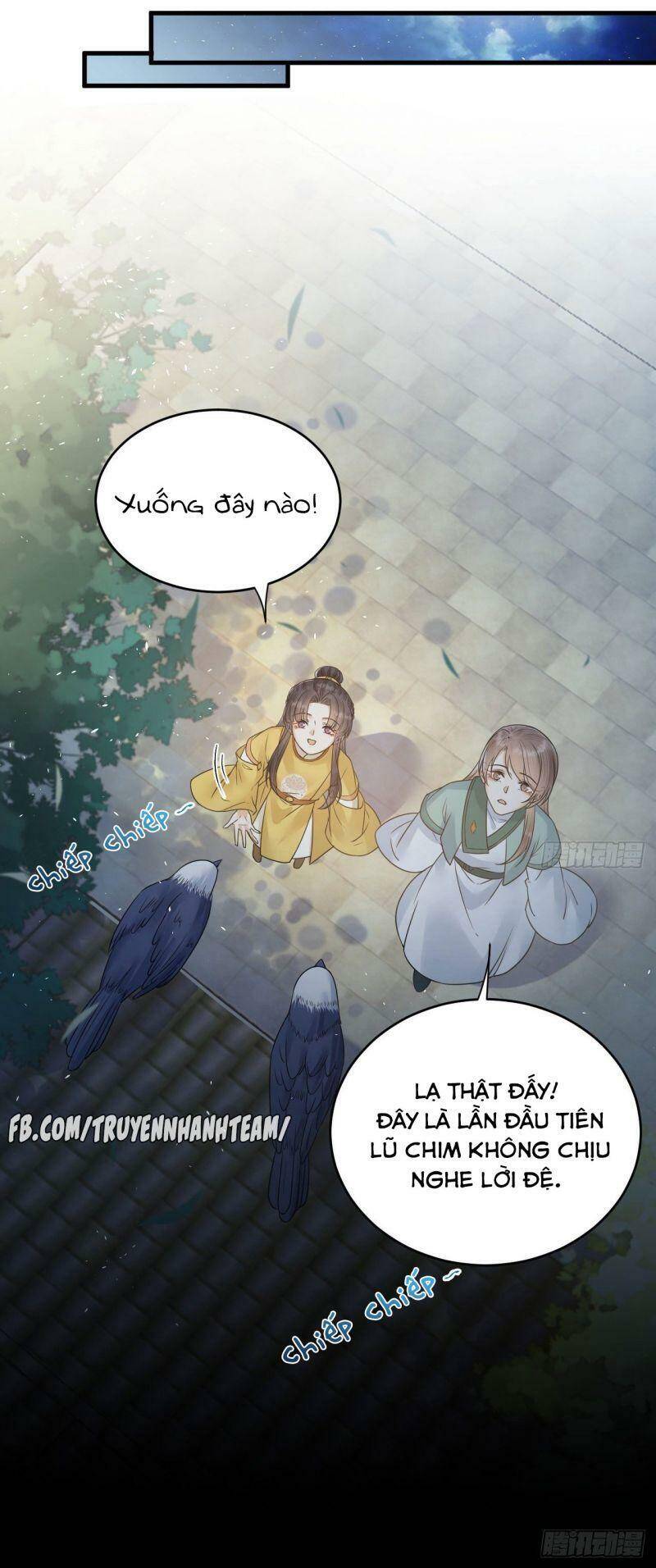 Lễ Băng Nhạc Phôi Chi Dạ Chap 51 - Next Chap 52