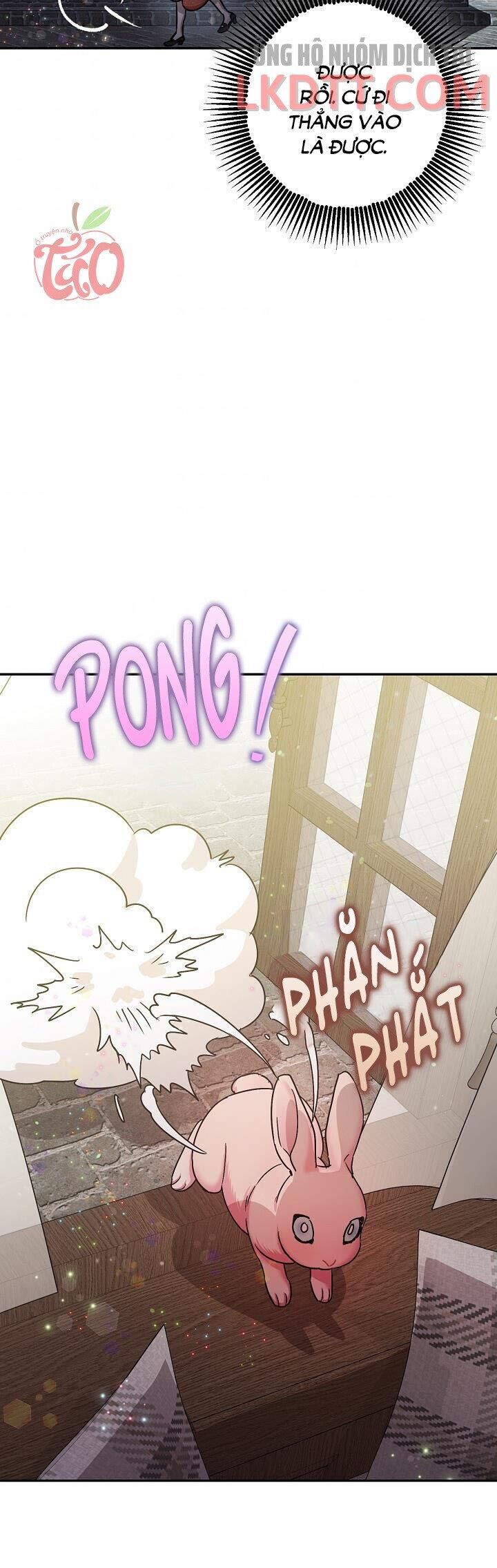Liều Thuốc An Thần Của Bạo Chúa Chap 231 - Next Chap 232