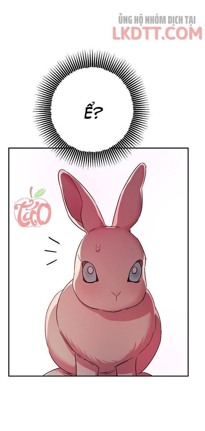 Liều Thuốc An Thần Của Bạo Chúa Chap 231 - Next Chap 232