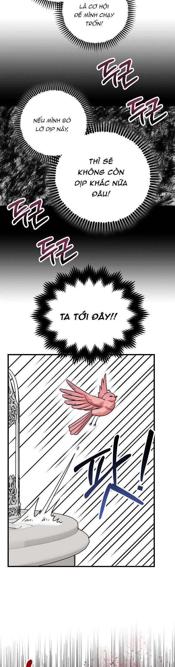 Liều Thuốc An Thần Của Bạo Chúa Chap 5 - Next Chap 6