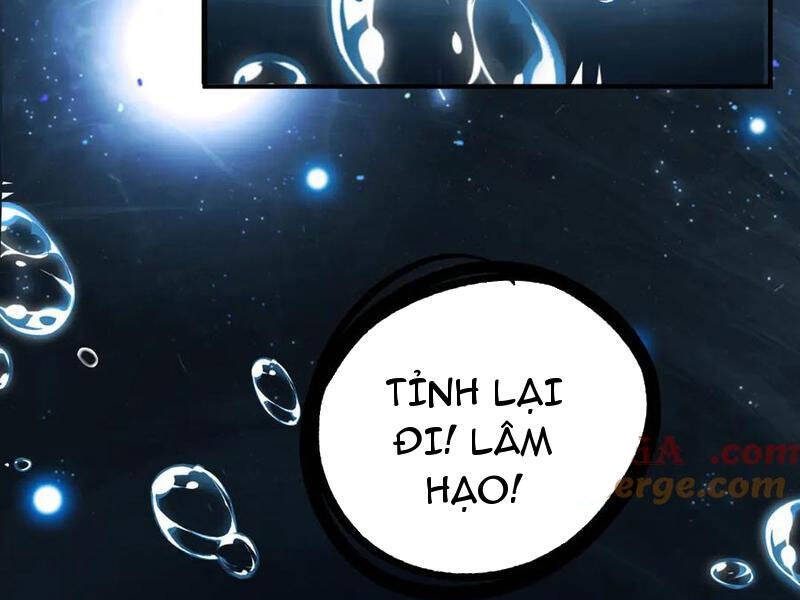 Linh Khí Khôi Phục: Từ Cá Chép Tiến Hóa Thành Thần Long Chap 16 - Next Chap 17