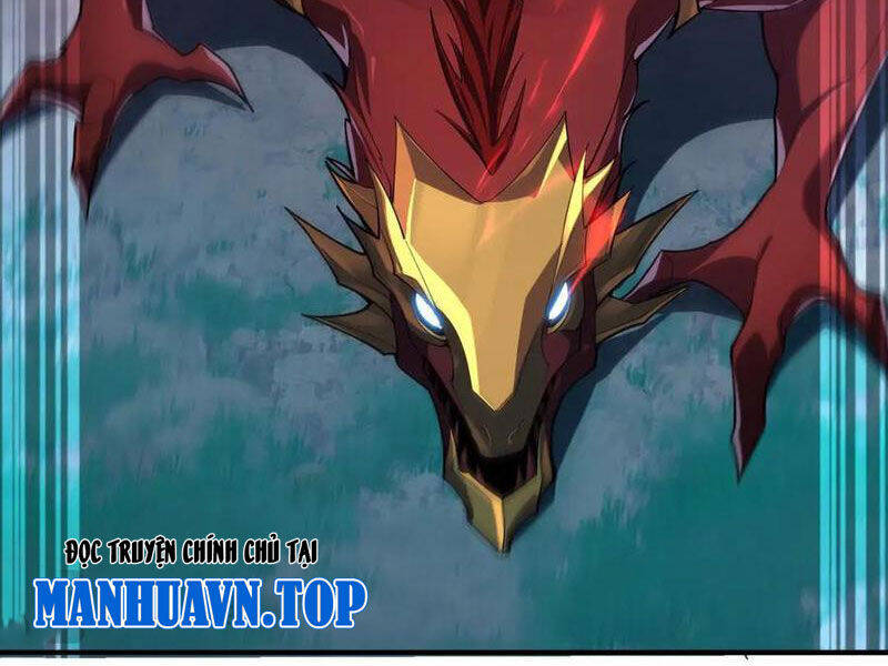 Linh Khí Khôi Phục: Từ Cá Chép Tiến Hóa Thành Thần Long Chap 17 - Next Chap 18