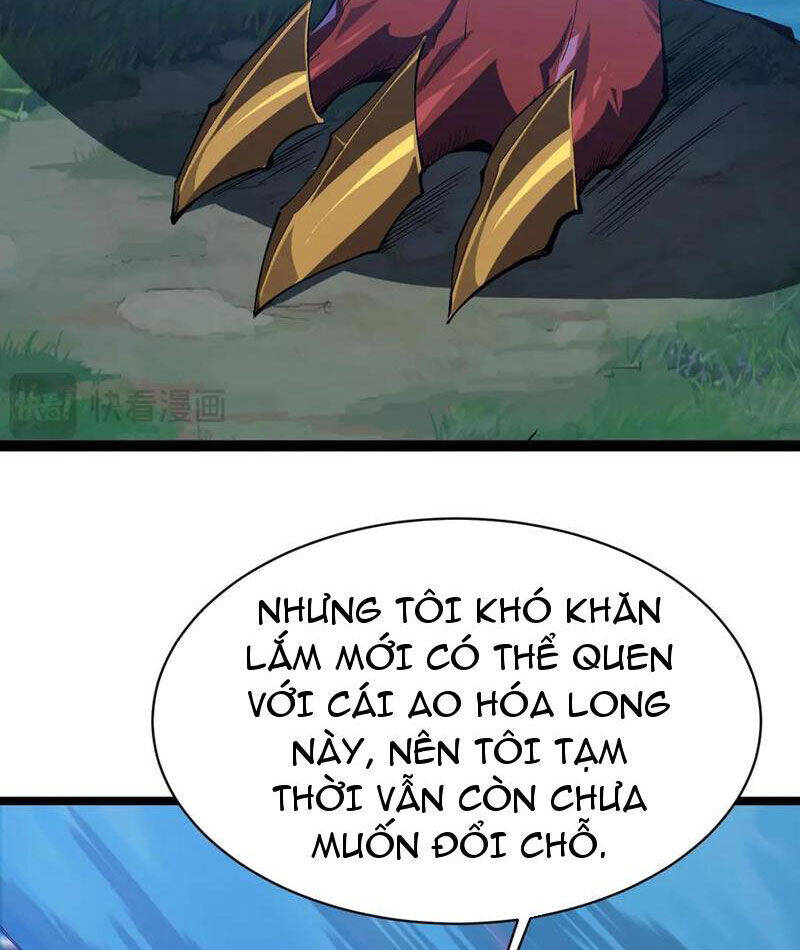 Linh Khí Khôi Phục: Từ Cá Chép Tiến Hóa Thành Thần Long Chap 18 - Next Chap 19