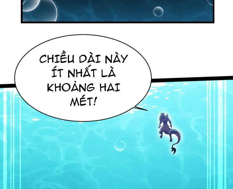 Linh Khí Khôi Phục: Từ Cá Chép Tiến Hóa Thành Thần Long Chap 20 - Next Chap 21