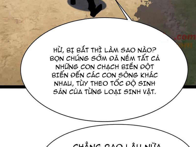 Linh Khí Khôi Phục: Từ Cá Chép Tiến Hóa Thành Thần Long Chap 21 - Next Chap 22