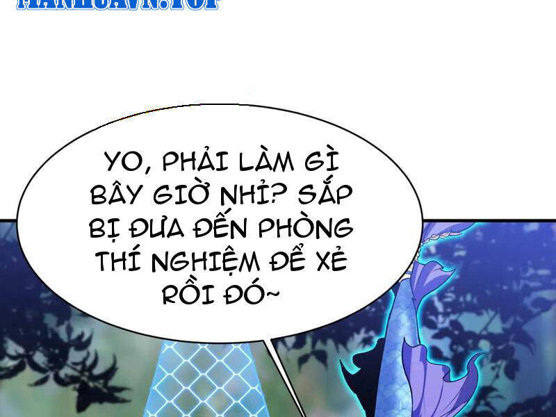 Linh Khí Khôi Phục: Từ Cá Chép Tiến Hóa Thành Thần Long Chap 22 - Next Chap 23