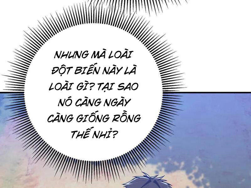 Linh Khí Khôi Phục: Từ Cá Chép Tiến Hóa Thành Thần Long Chap 22 - Next Chap 23