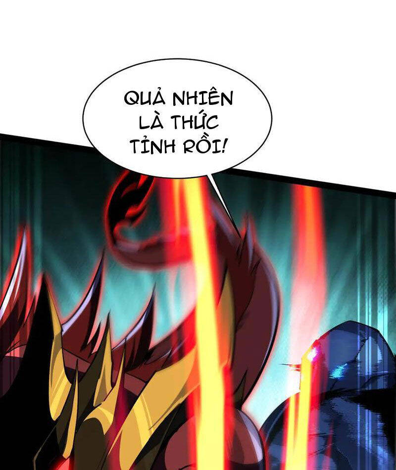 Linh Khí Khôi Phục: Từ Cá Chép Tiến Hóa Thành Thần Long Chap 23 - Next Chap 24