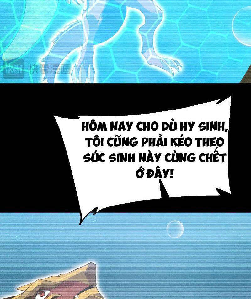 Linh Khí Khôi Phục: Từ Cá Chép Tiến Hóa Thành Thần Long Chap 25 - Next Chap 26