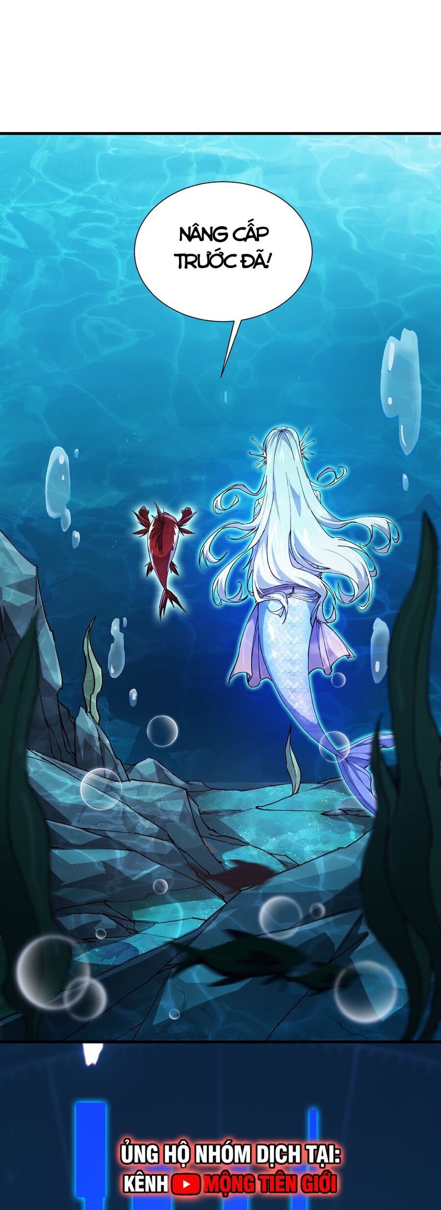 Linh Khí Khôi Phục: Từ Cá Chép Tiến Hóa Thành Thần Long Chap 5 - Next Chap 6