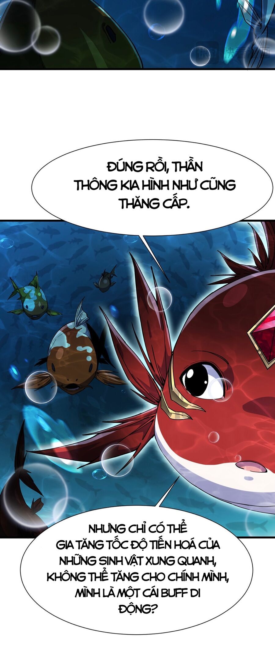 Linh Khí Khôi Phục: Từ Cá Chép Tiến Hóa Thành Thần Long Chap 5 - Next Chap 6