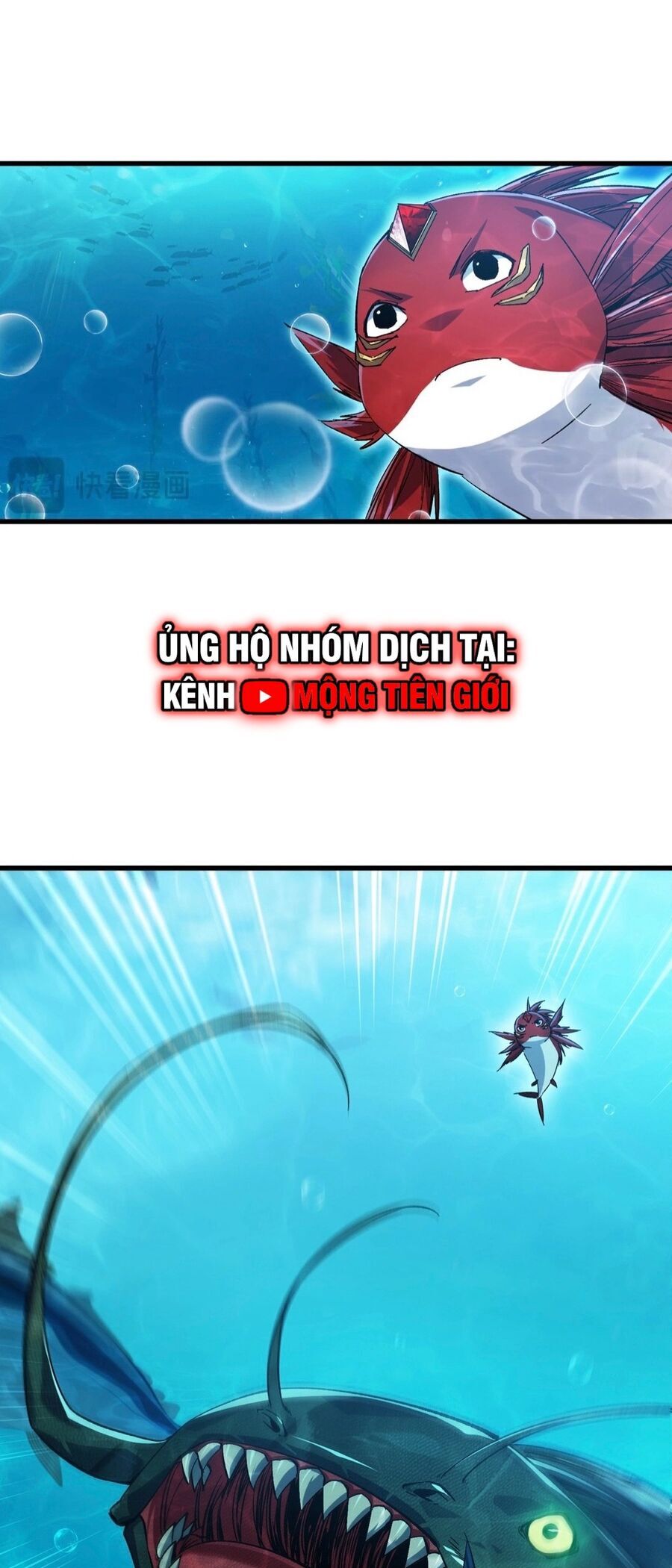 Linh Khí Khôi Phục: Từ Cá Chép Tiến Hóa Thành Thần Long Chap 8 - Next Chap 9