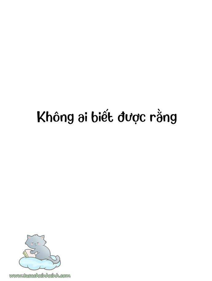 Lớ Ngớ Vớ Phải Tình Yêu Chap 4 - Next Chap 5