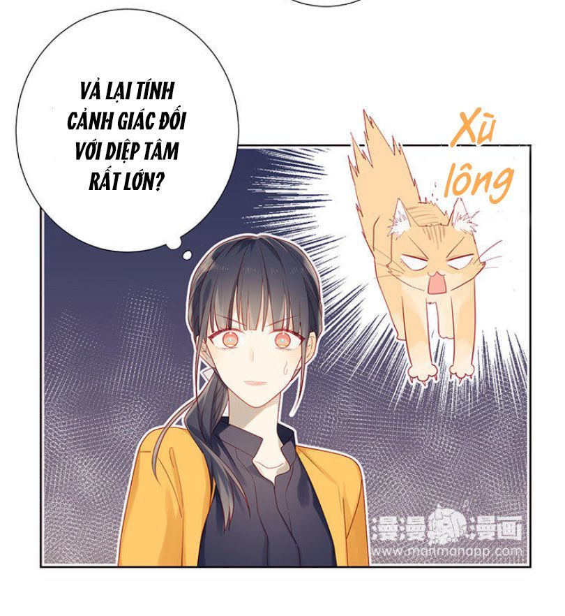 Lời Thề Như Sương Triều Chap 5 - Next Chap 6
