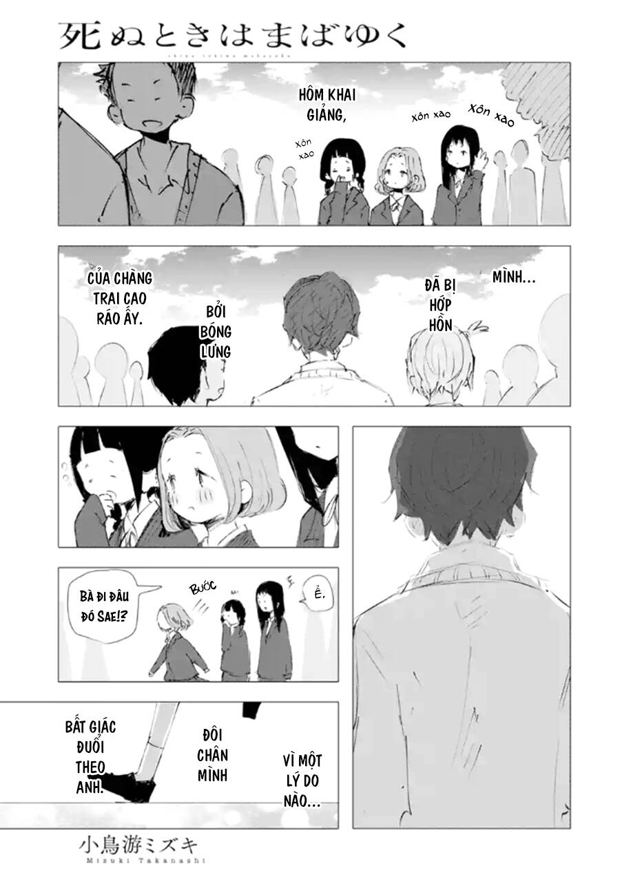 Lộng Lẫy Phút Lìa Đời Chap 287 - Next Chap 288