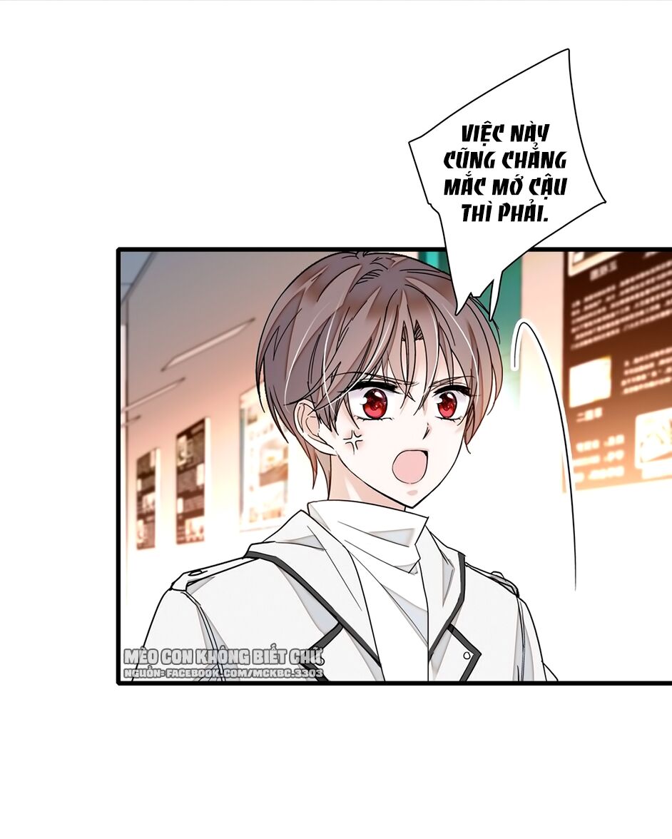 Long Phượng Phiên Chuyển Chap 20 - Next Chap 21