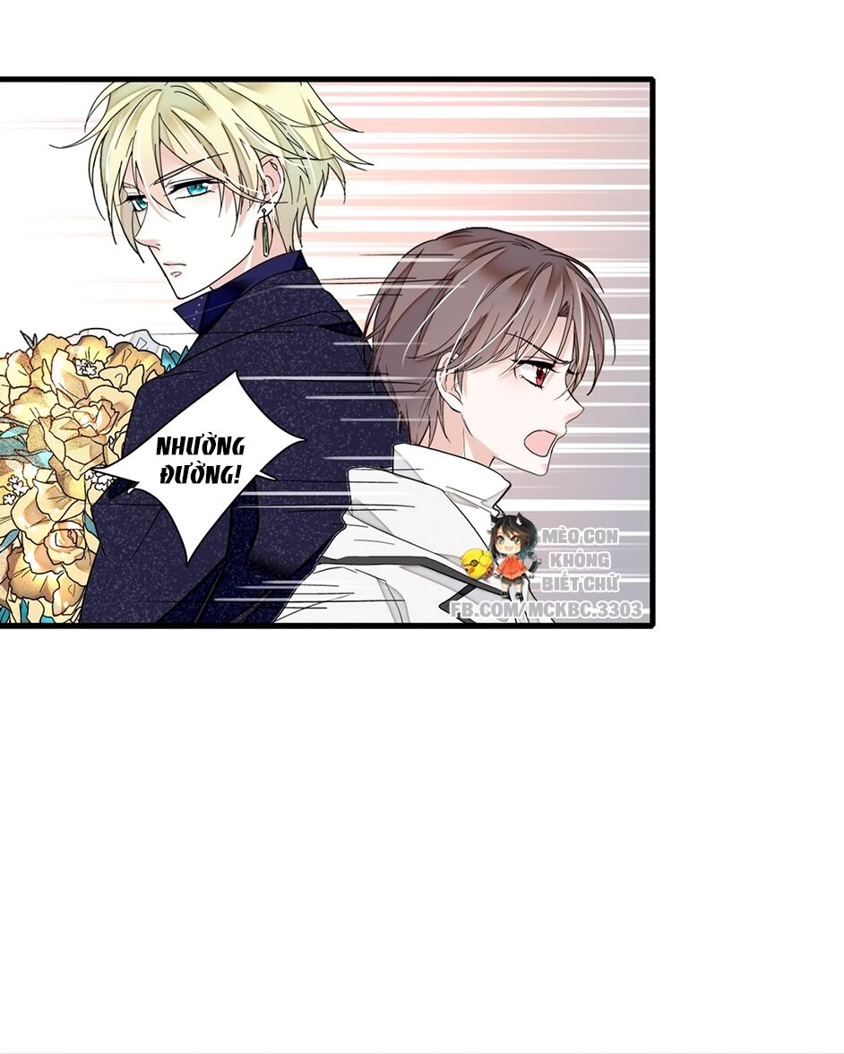 Long Phượng Phiên Chuyển Chap 20 - Next Chap 21