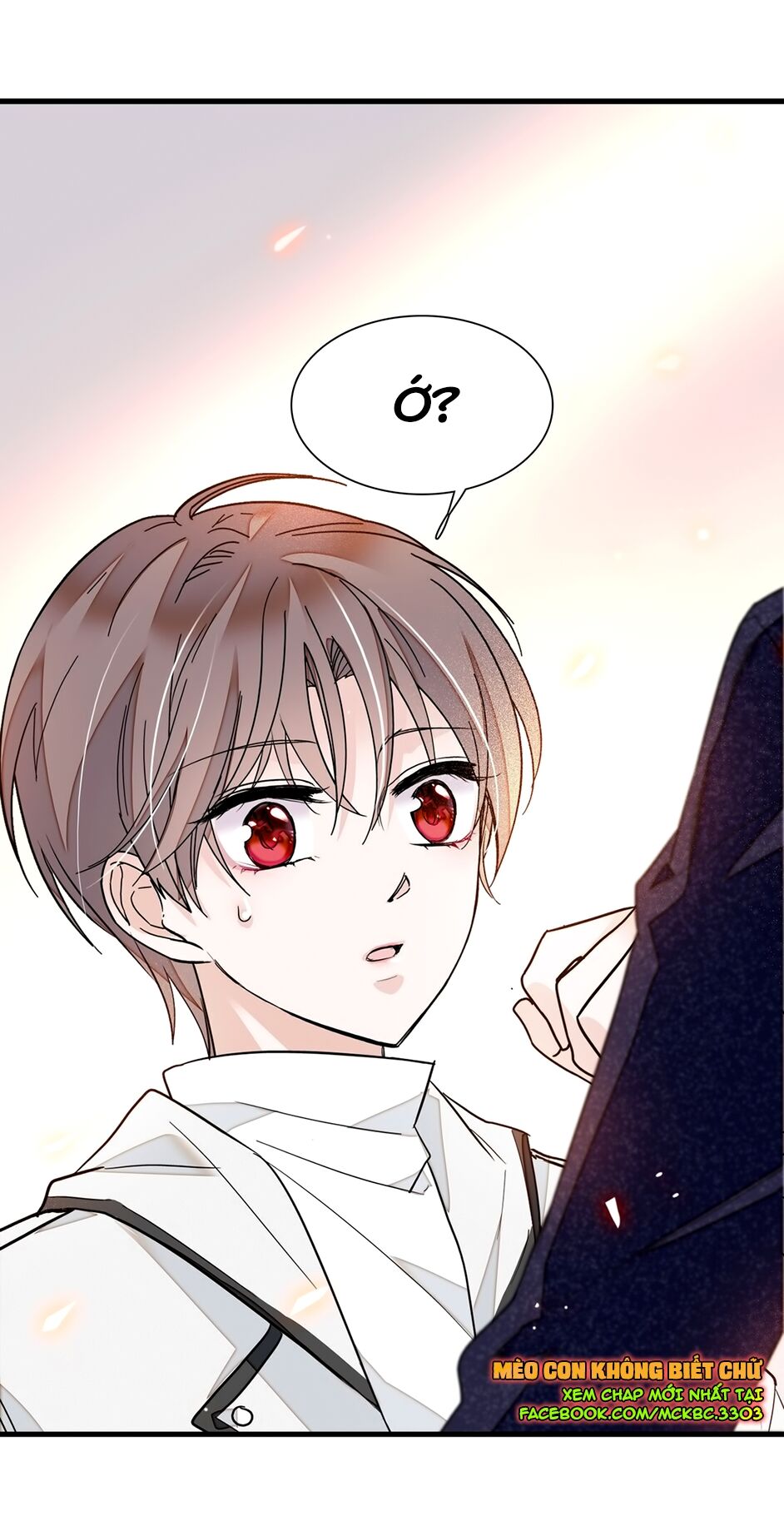 Long Phượng Phiên Chuyển Chap 20 - Next Chap 21
