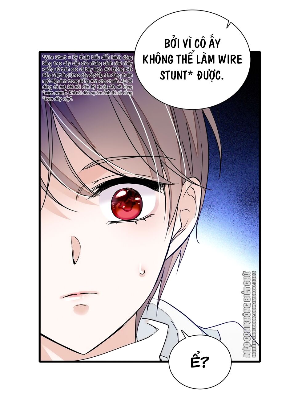 Long Phượng Phiên Chuyển Chap 20 - Next Chap 21