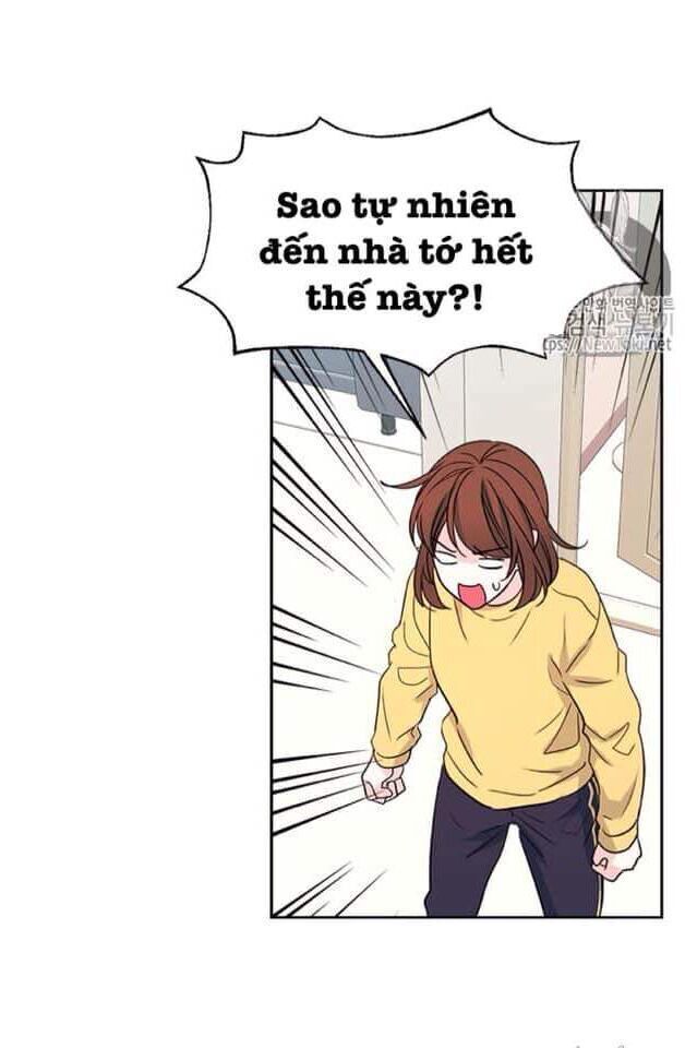 Luật Của Tiểu Thuyết Mạng Chap 49 - Next Chap 50