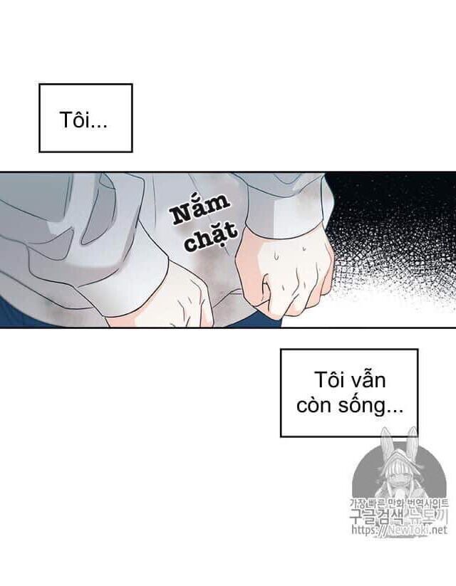 Luật Của Tiểu Thuyết Mạng Chap 50 - Next Chap 51