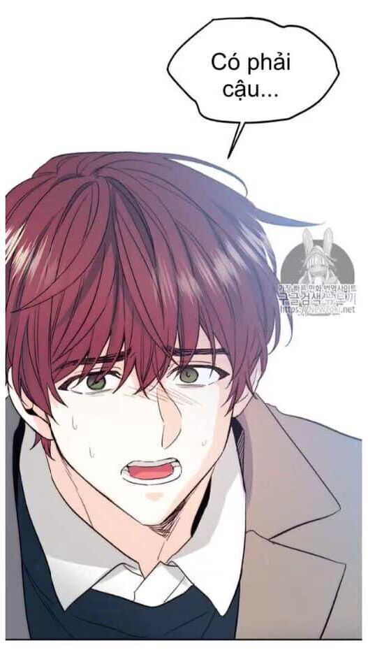 Luật Của Tiểu Thuyết Mạng Chap 50 - Next Chap 51