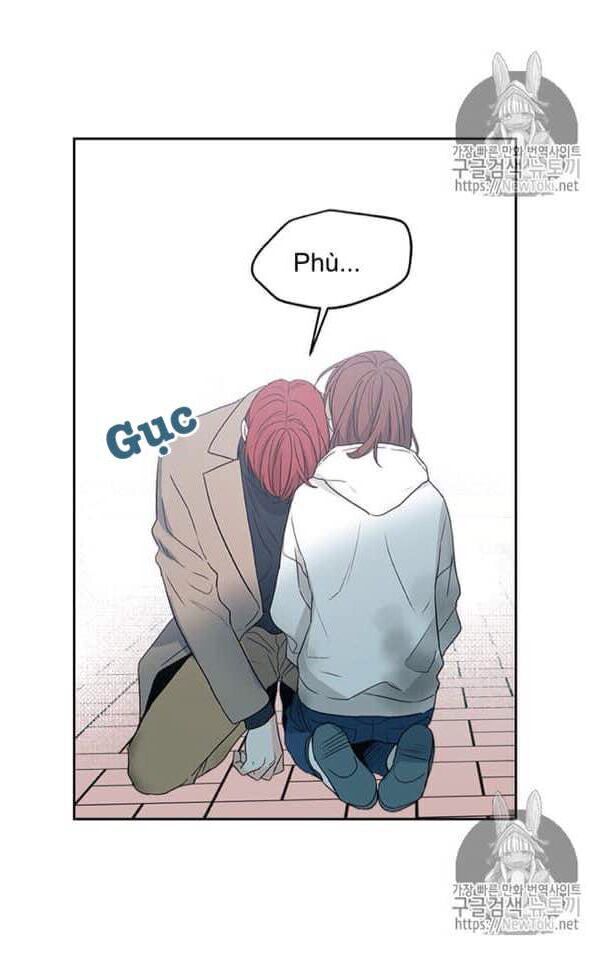 Luật Của Tiểu Thuyết Mạng Chap 50 - Next Chap 51