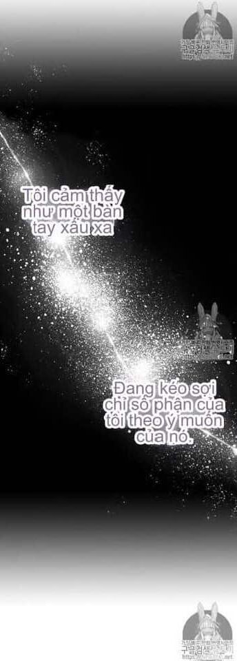 Luật Của Tiểu Thuyết Mạng Chap 50 - Next Chap 51
