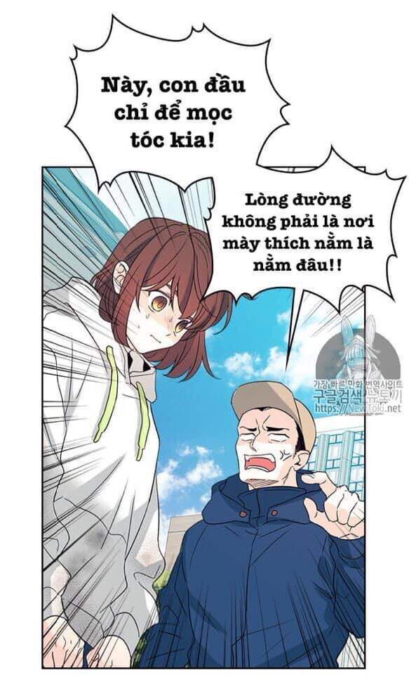 Luật Của Tiểu Thuyết Mạng Chap 50 - Next Chap 51