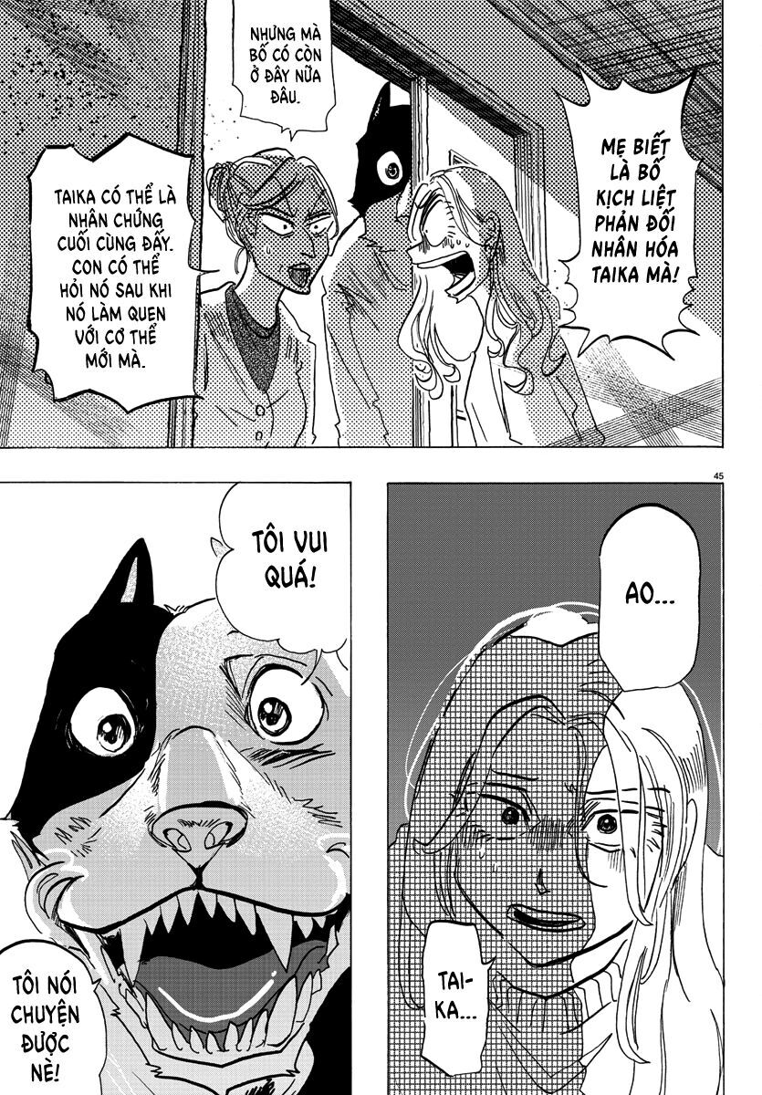 Lý Trí Của Taika Chap 1 - Next Chap 2