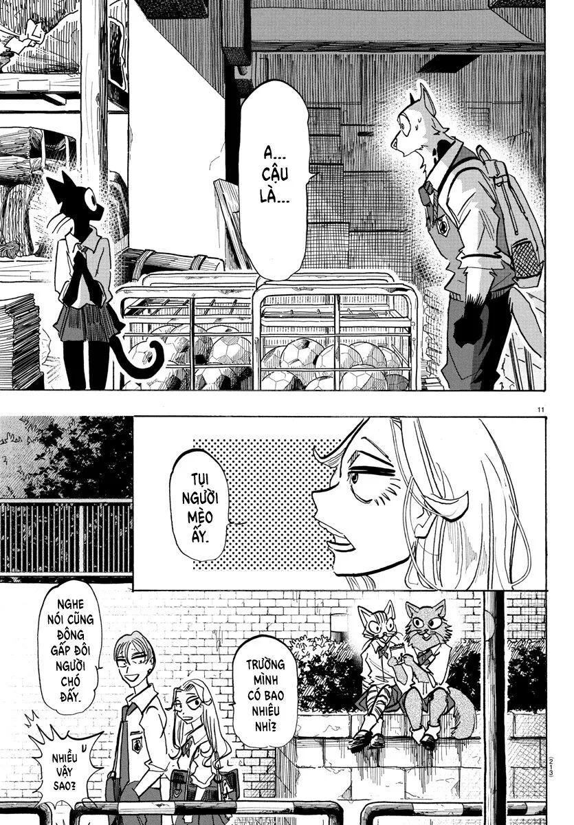 Lý Trí Của Taika Chap 10 - Next Chap 11