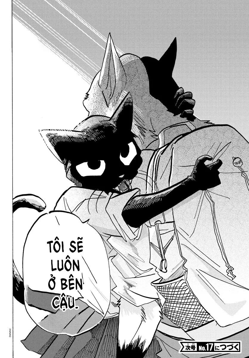 Lý Trí Của Taika Chap 10 - Next Chap 11