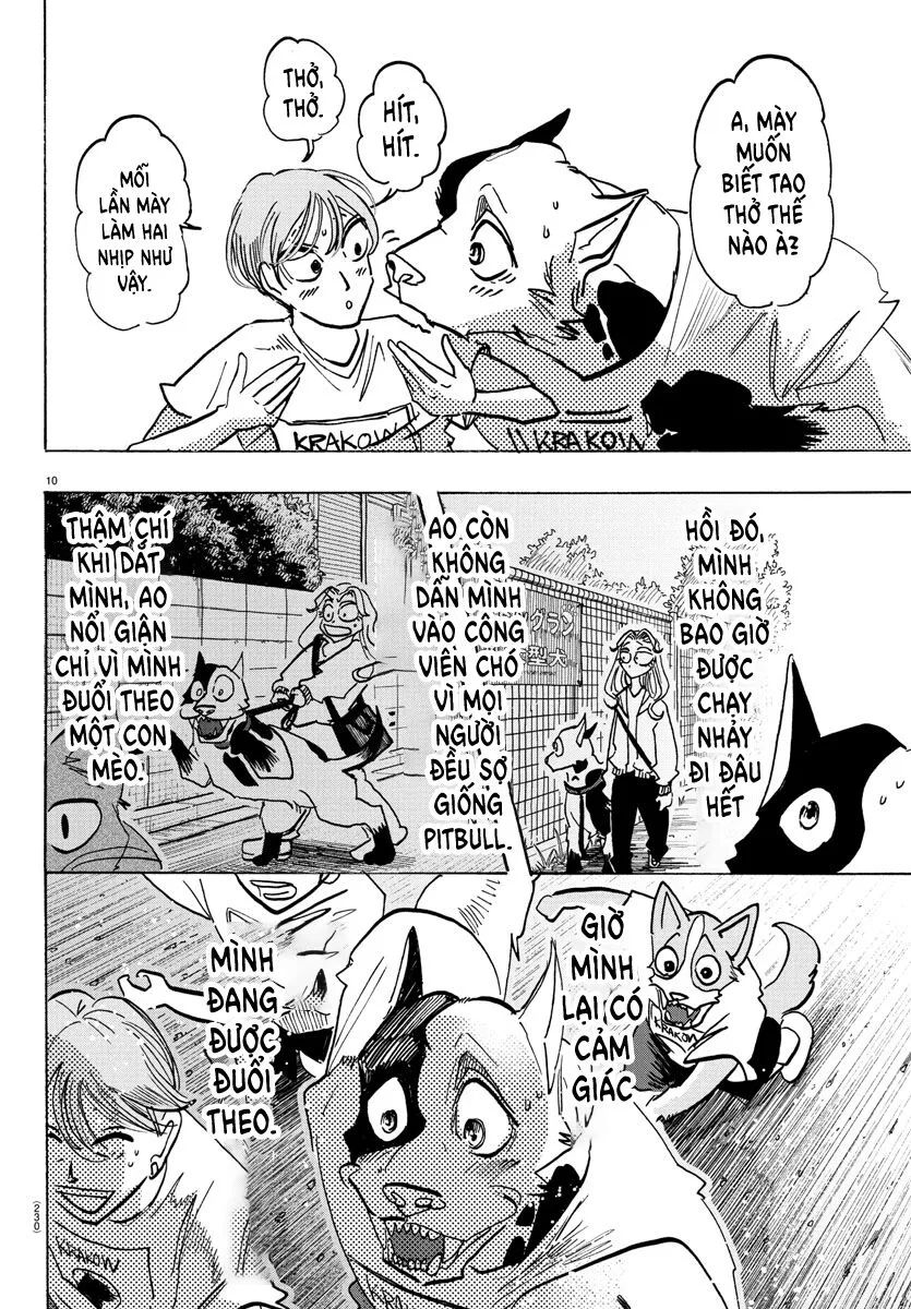 Lý Trí Của Taika Chap 11 - Next Chap 12