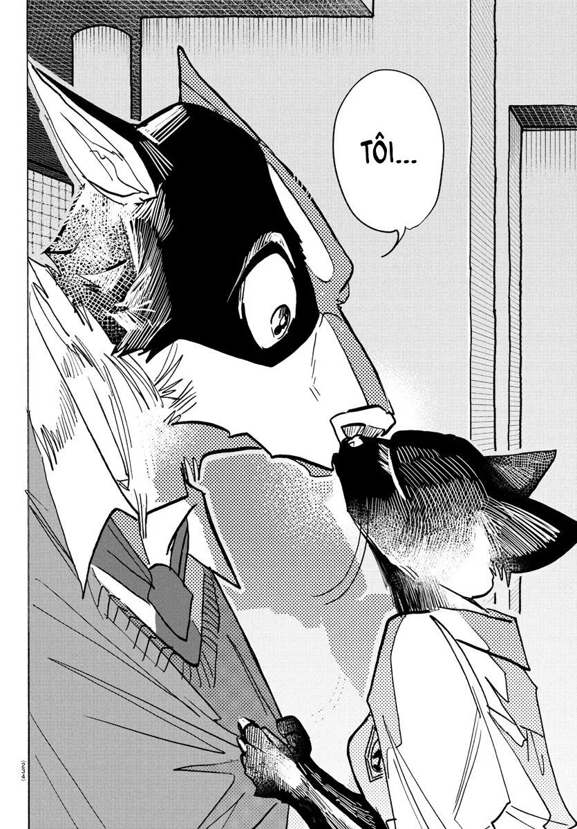 Lý Trí Của Taika Chap 11 - Next Chap 12