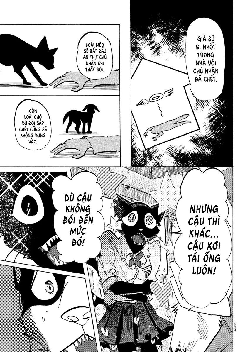 Lý Trí Của Taika Chap 11 - Next Chap 12