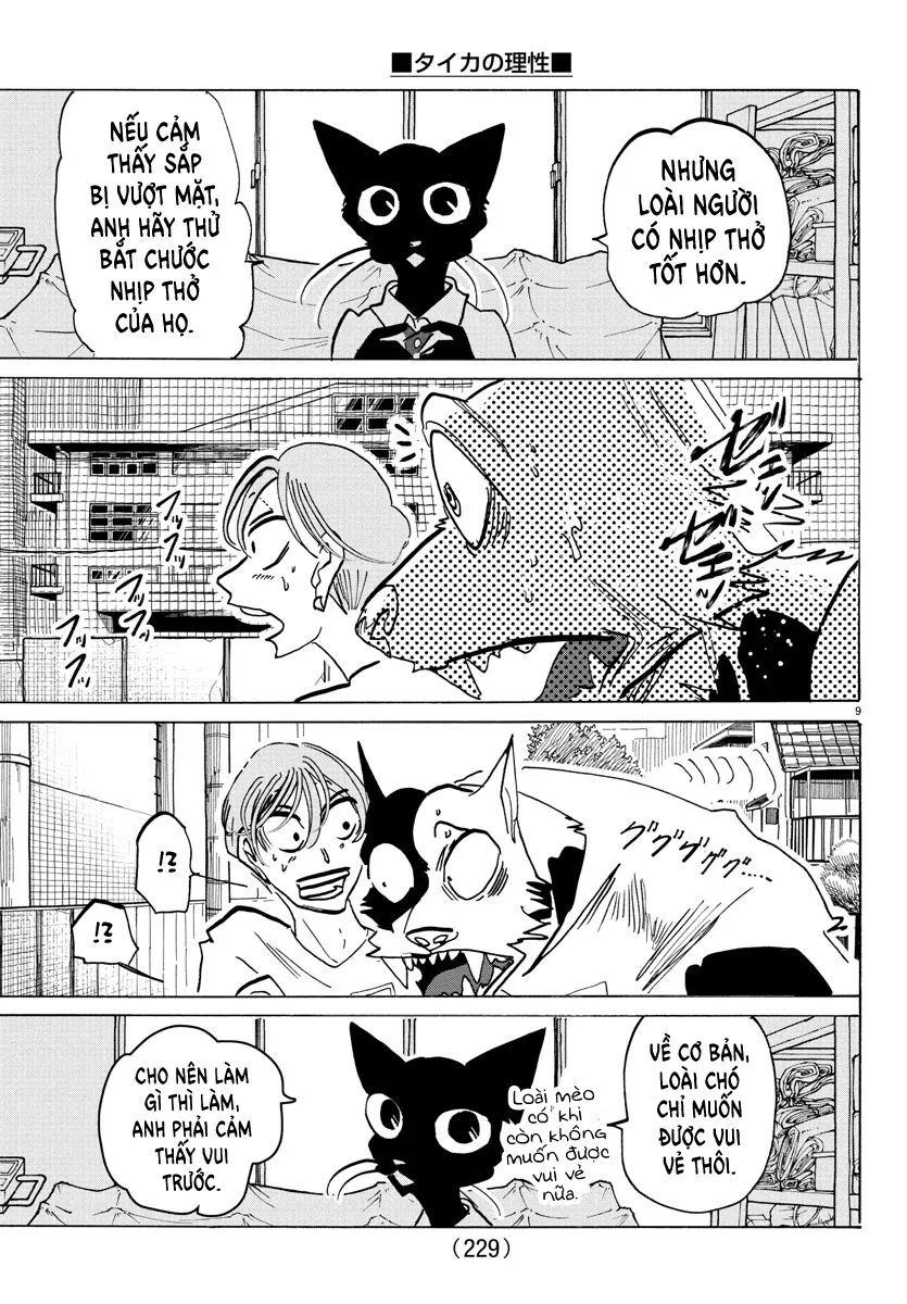 Lý Trí Của Taika Chap 11 - Next Chap 12