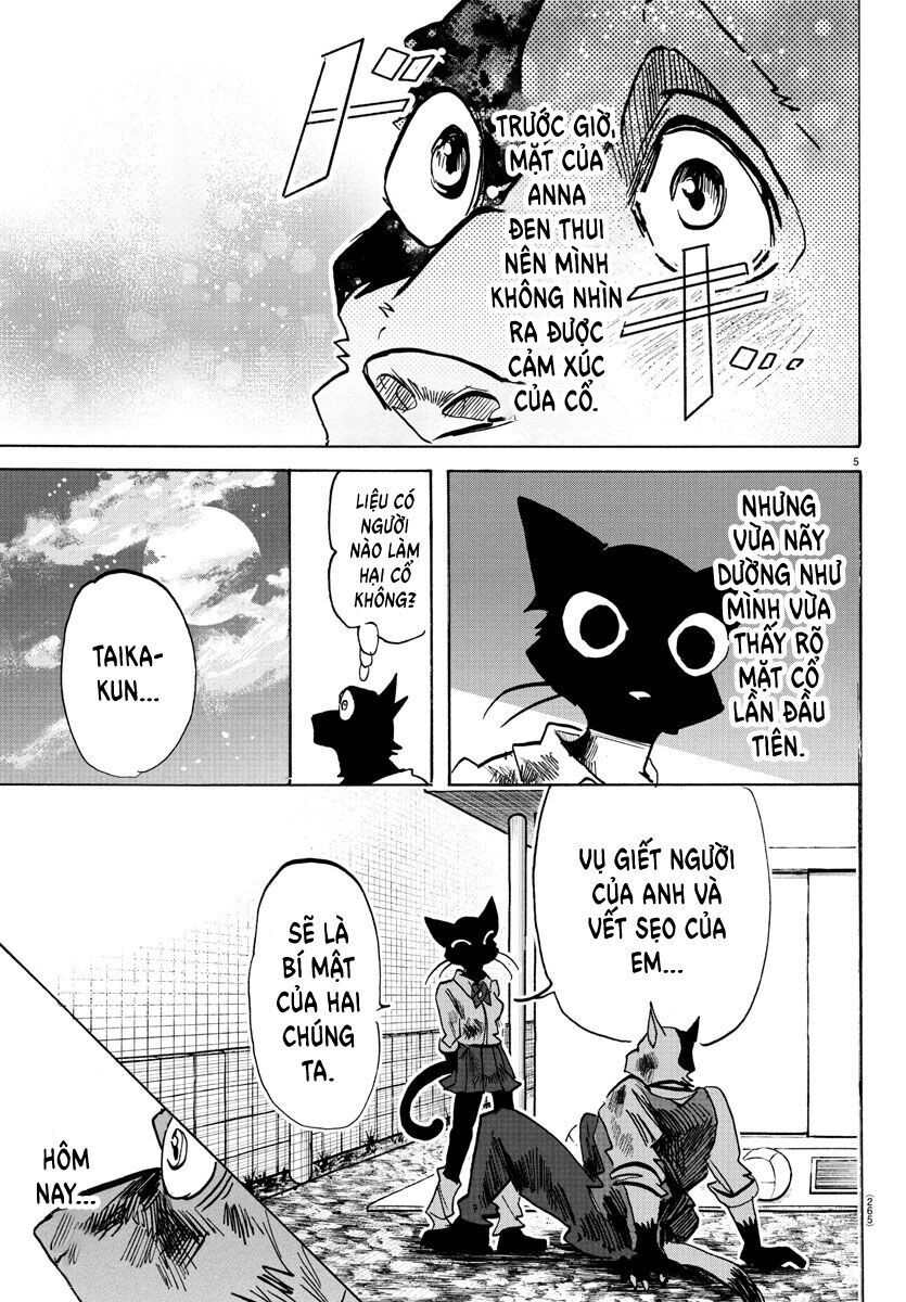 Lý Trí Của Taika Chap 12 - Next Chap 13