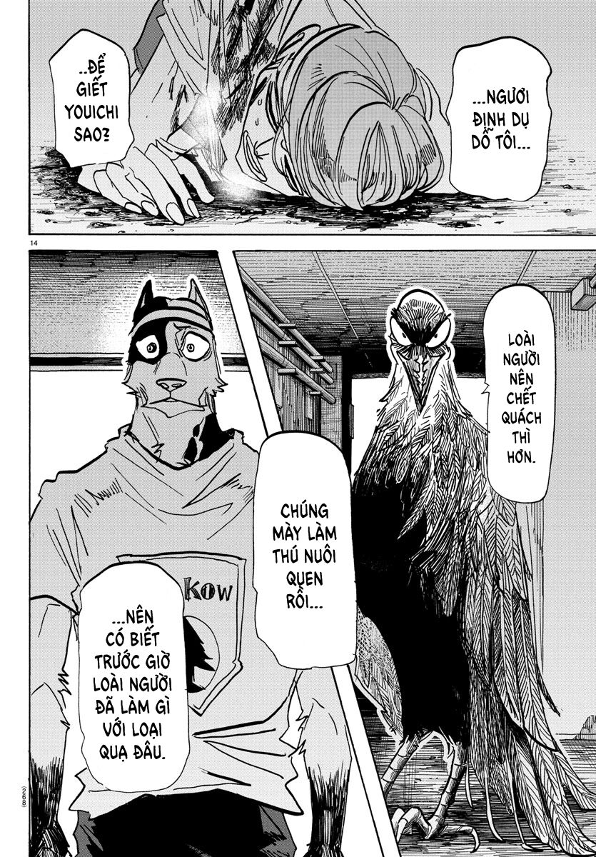 Lý Trí Của Taika Chap 14 - Next Chap 15