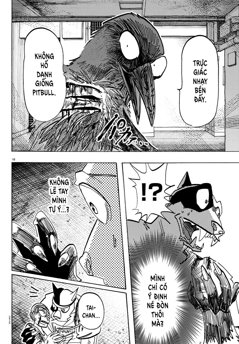 Lý Trí Của Taika Chap 14 - Next Chap 15