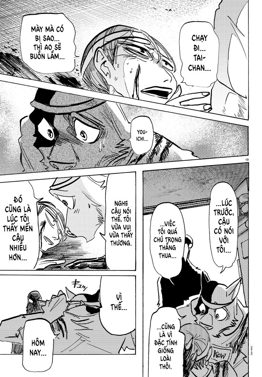 Lý Trí Của Taika Chap 14 - Next Chap 15